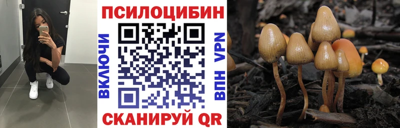 Псилоцибиновые грибы мицелий Дудинка
